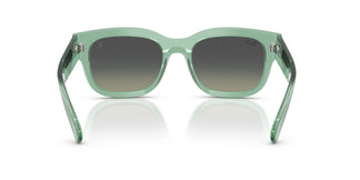 Ray-Ban RB2228M F70911 53
