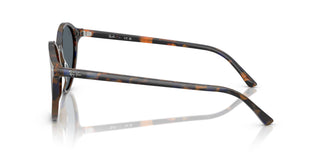 Ray-Ban RB2230 BERNARD 1356R5 51