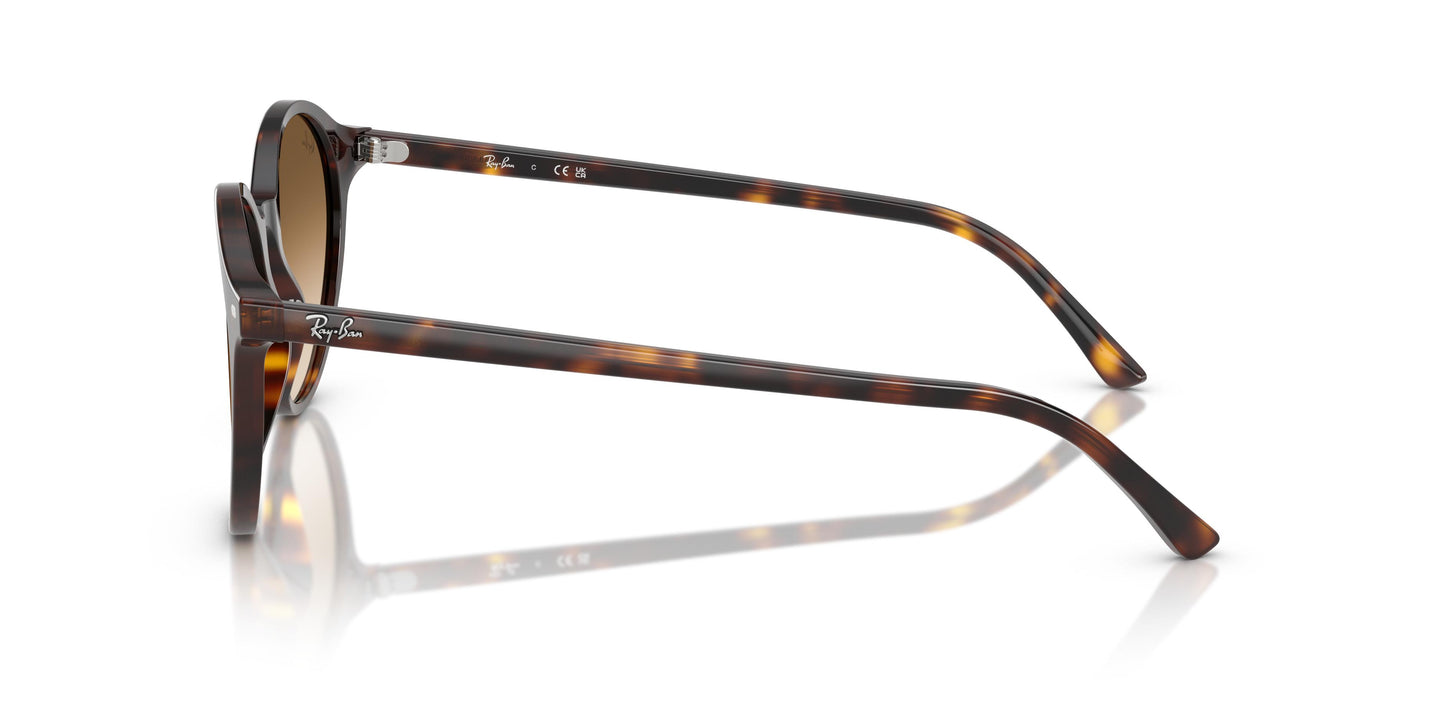 Ray-Ban RB2230 BERNARD 902/51 51