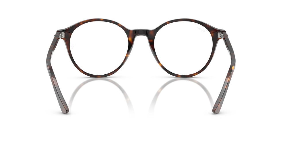 Ray-Ban RB2230 BERNARD 902/GH 53