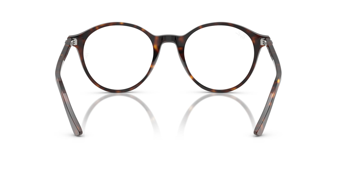 Ray-Ban RB2230 BERNARD 902/GH 53