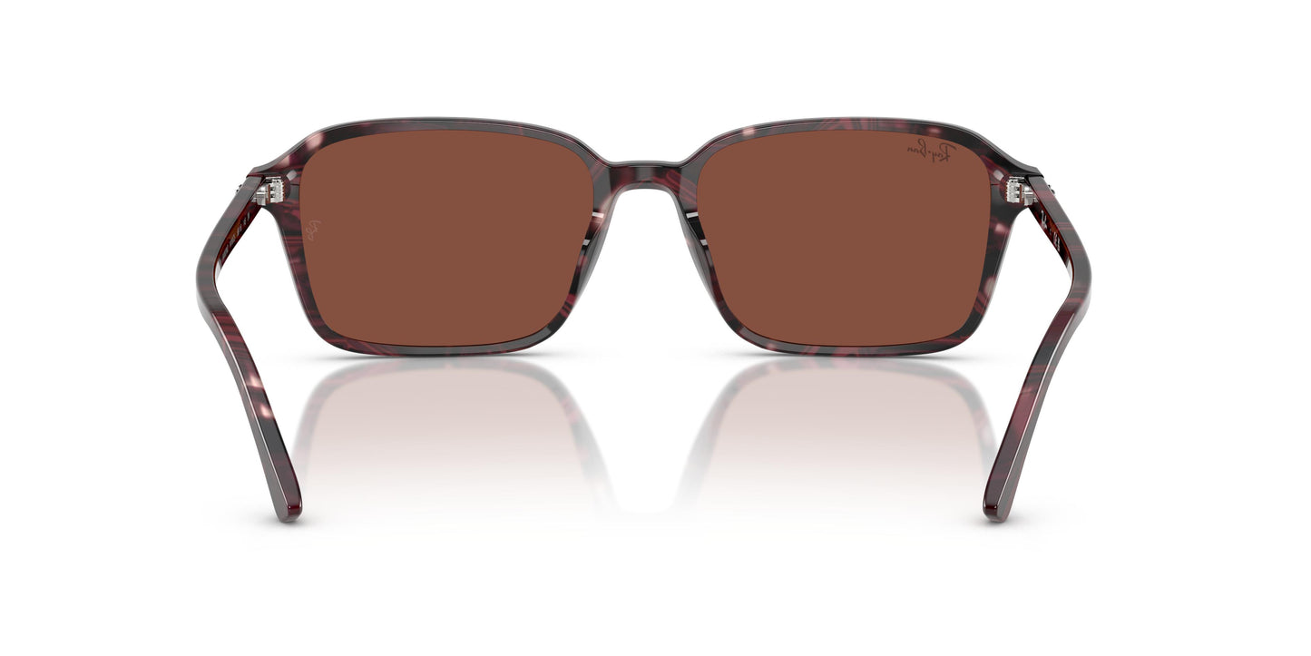 Ray-Ban RB2231 RAIMOND 1416C5 56