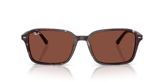 Ray-Ban RB2231 RAIMOND 1416C5 56