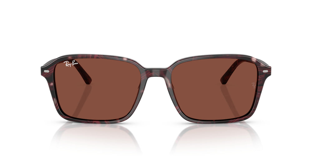 Ray-Ban RB2231 RAIMOND 1416C5 58