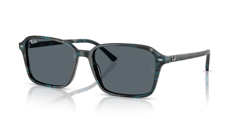 Ray-Ban RB2231 RAIMOND 1417R5 56