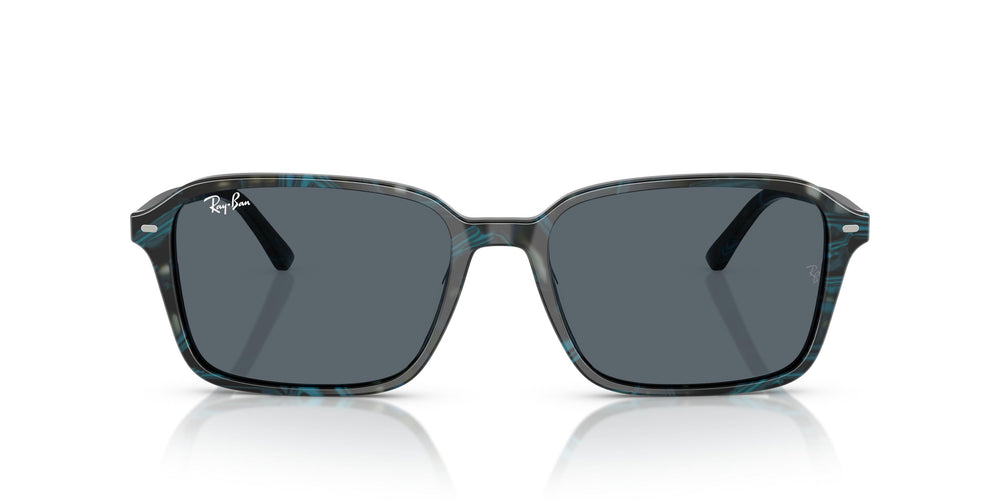 Ray-Ban RB2231 RAIMOND 1417R5 58