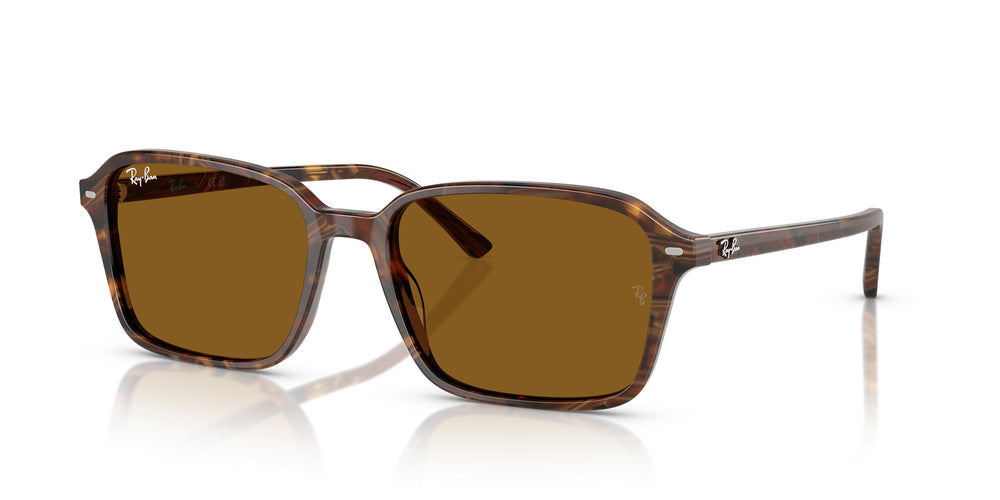 Ray-Ban RB2231 RAIMOND 141833 58