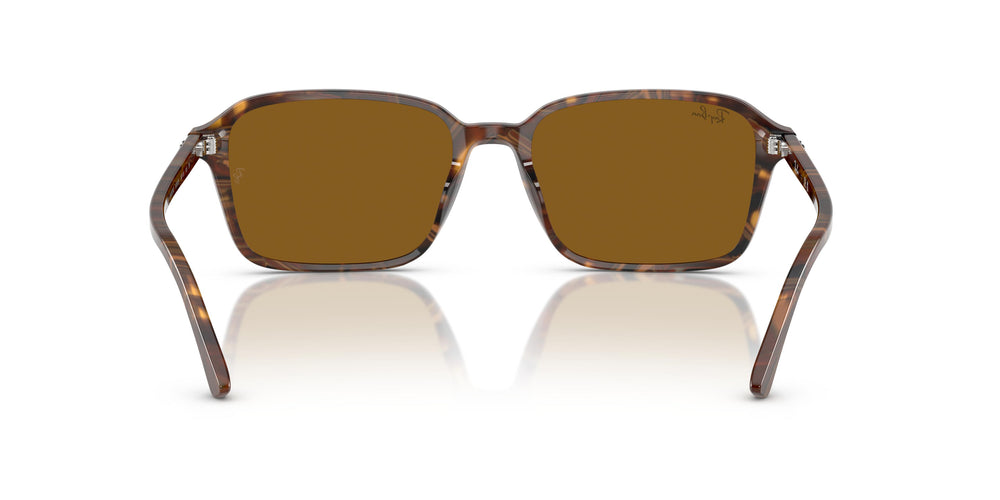 Ray-Ban RB2231 RAIMOND 141833 58