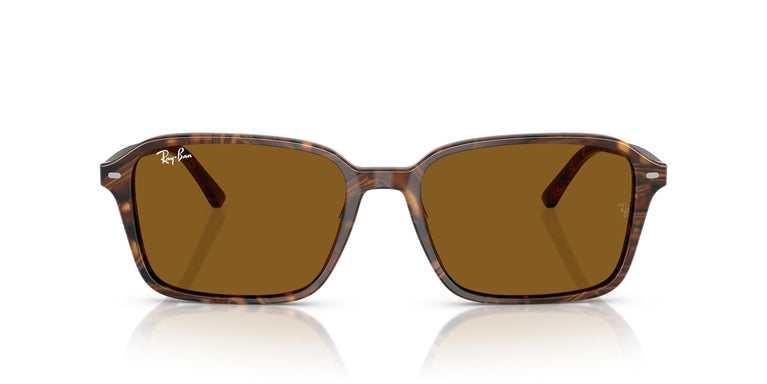 Ray-Ban RB2231 RAIMOND 141833 56