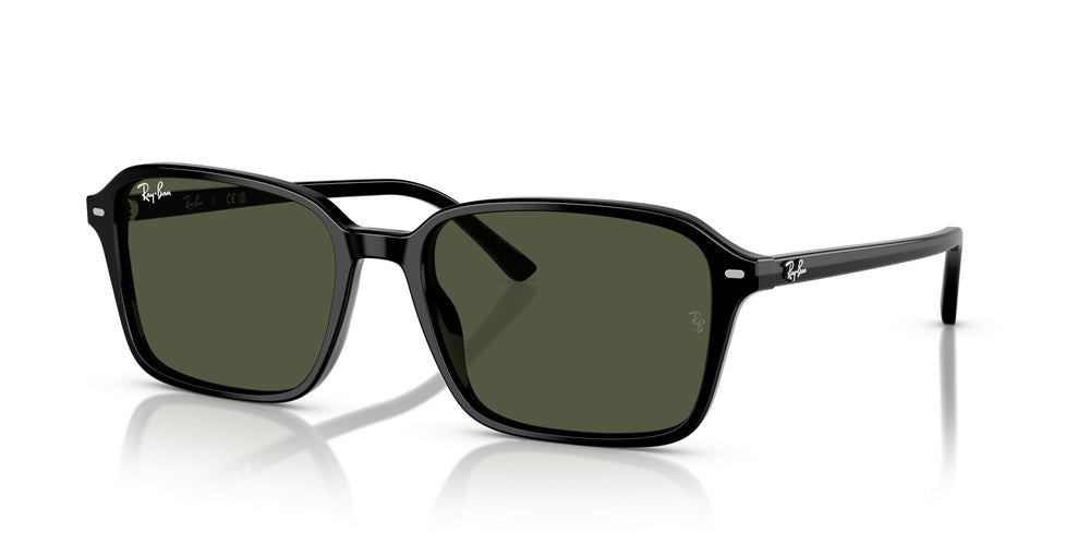 Ray-Ban RB2231 RAIMOND 901/31 58
