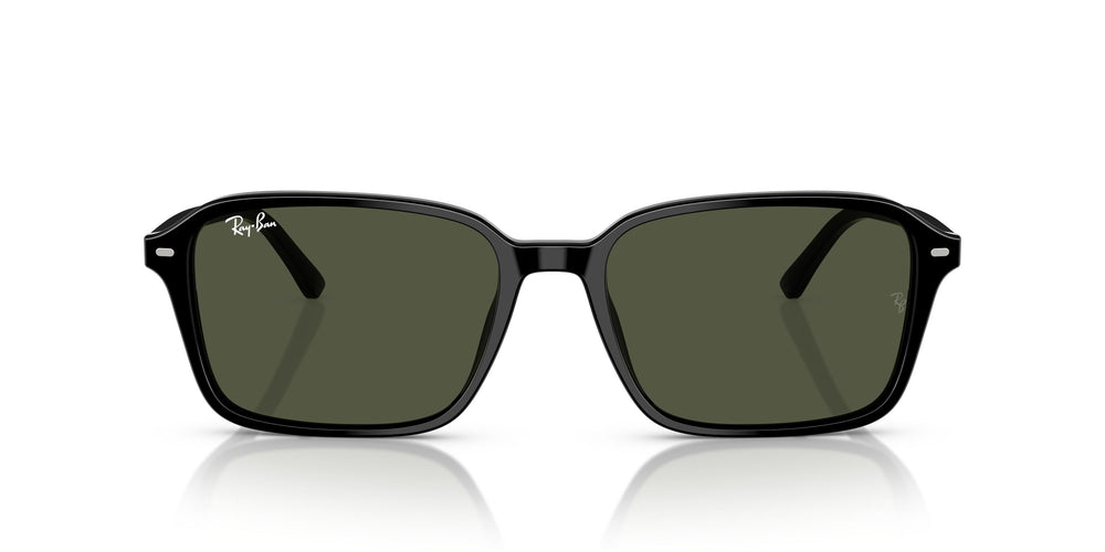 Ray-Ban RB2231 RAIMOND 901/31 56