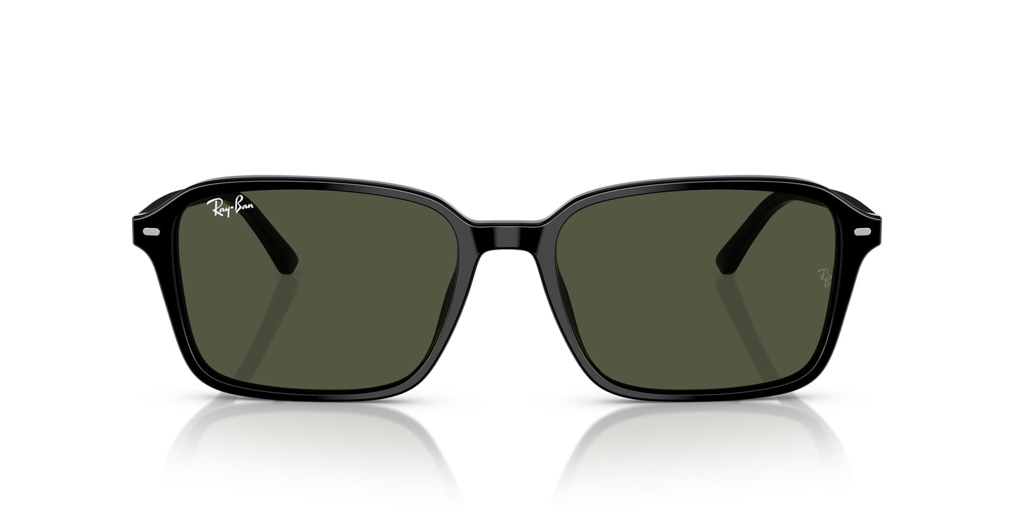 Ray-Ban RB2231 RAIMOND 901/31 56