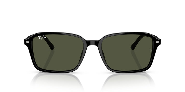 Ray-Ban RB2231 RAIMOND 901/31 56
