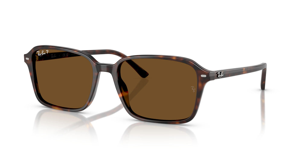 Ray-Ban RB2231 RAIMOND 902/57 58