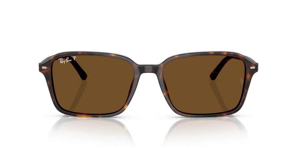 Ray-Ban RB2231 RAIMOND 902/57 56