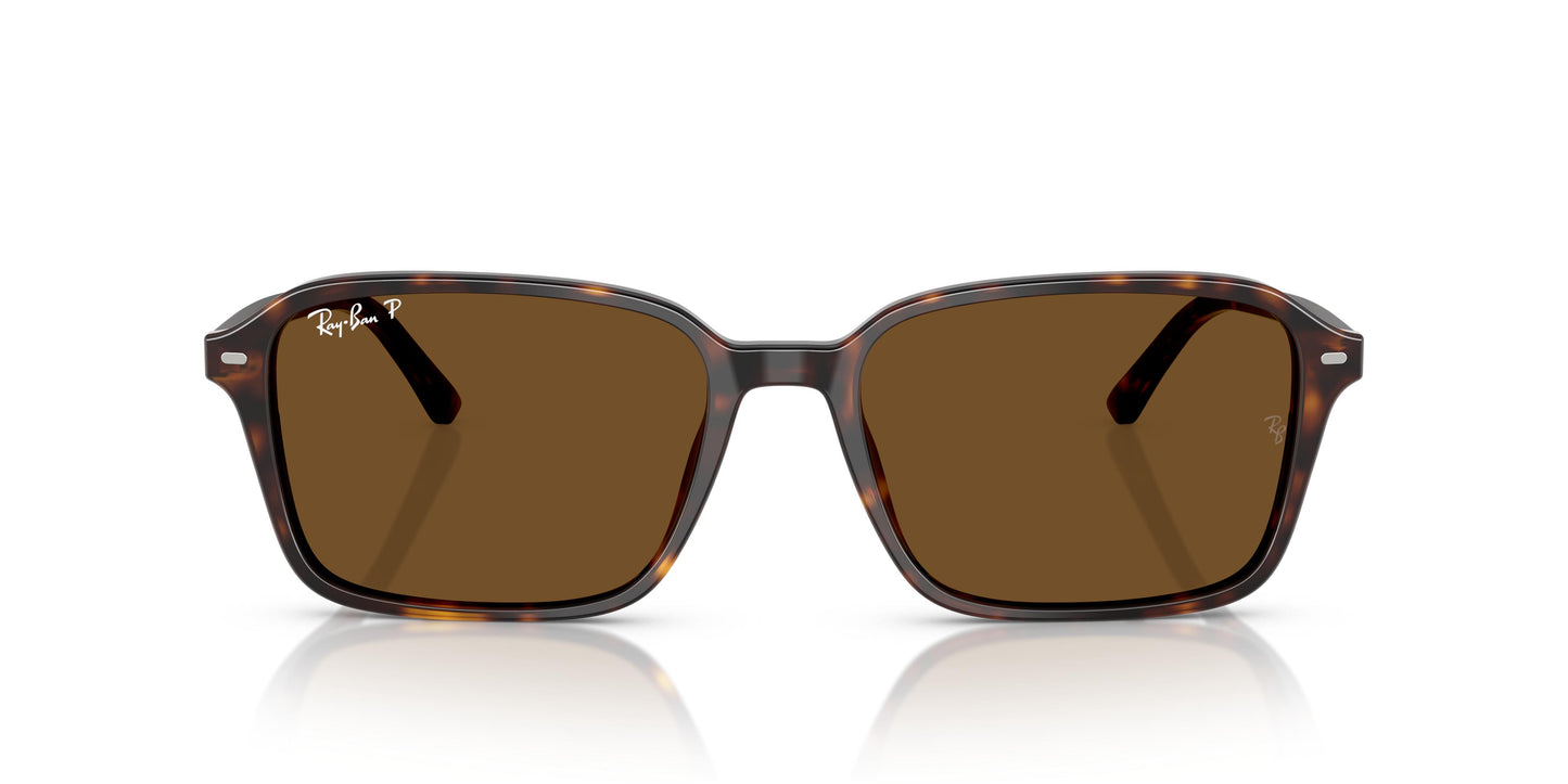Ray-Ban RB2231 RAIMOND 902/57 56
