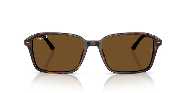 Ray-Ban RB2231 RAIMOND 902/57 56