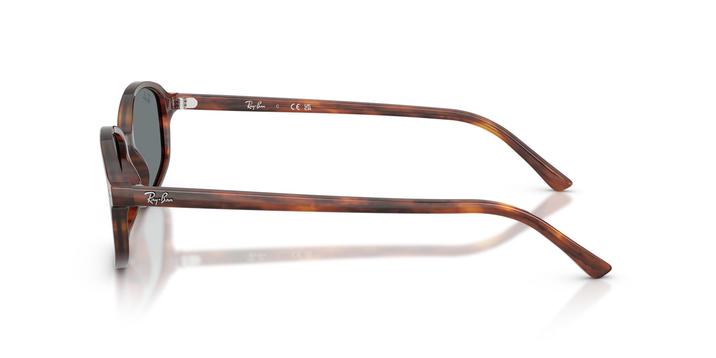 Ray-Ban RB2232 954/62 54