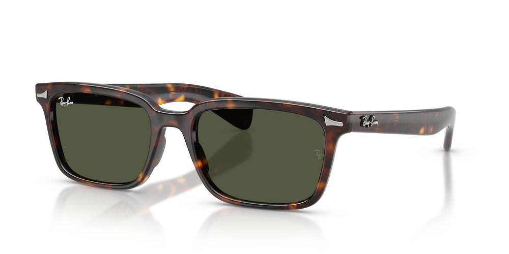 Ray-Ban RB2234 BRUNEL 902/31 53