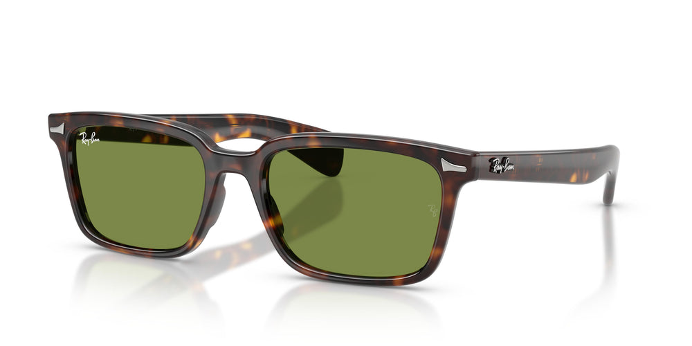 Ray-Ban RB2234 BRUNEL 902/4E 53