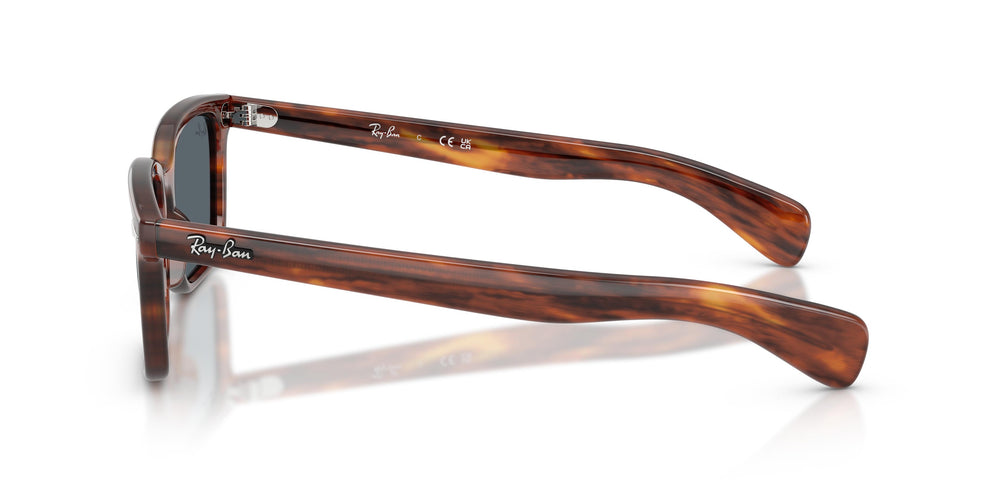 Ray-Ban RB2234 BRUNEL 954/R5 56
