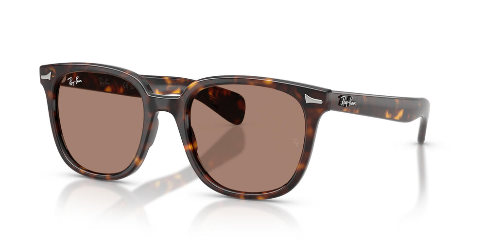 Ray-Ban RB2235 BRUNEL II 902/1A 53