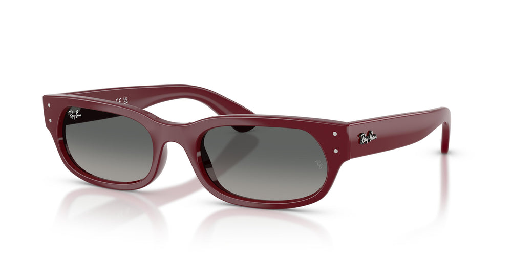 Ray-Ban RB2236 689971 54