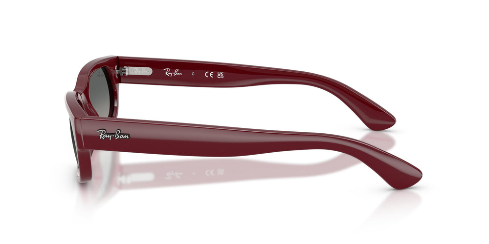 Ray-Ban RB2236 689971 54