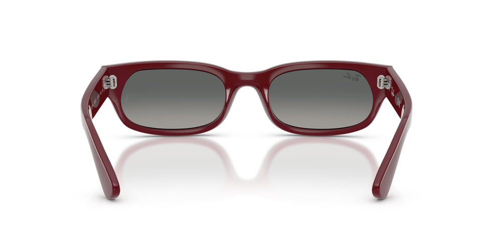 Ray-Ban RB2236 689971 54