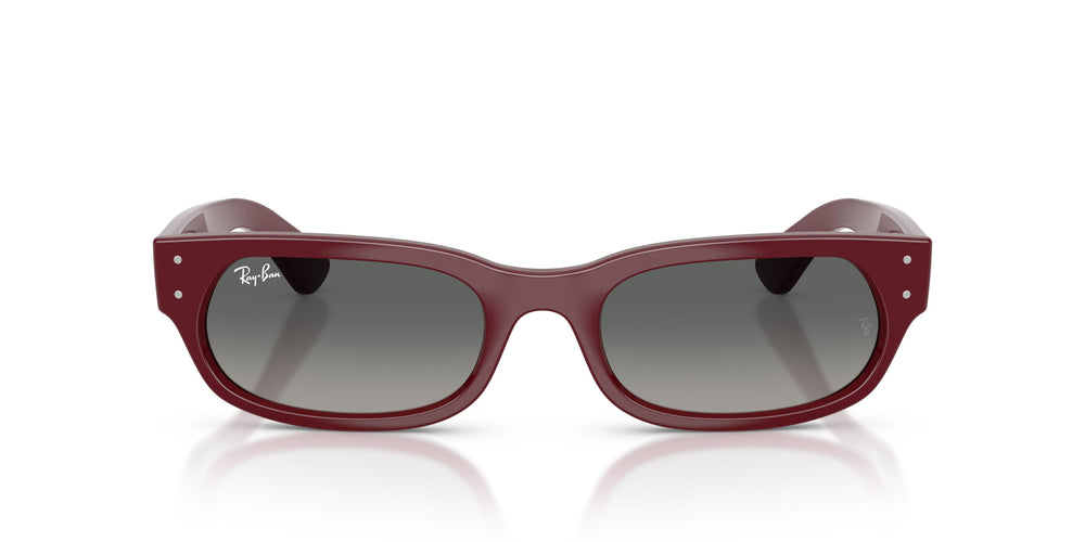 Ray-Ban RB2236 689971 54