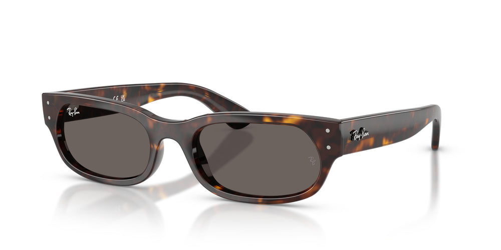 Ray-Ban RB2236 902/B1 54