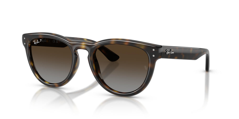 Ray-Ban RB2237 710/T5 51