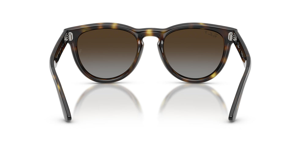 Ray-Ban RB2237 710/T5 51