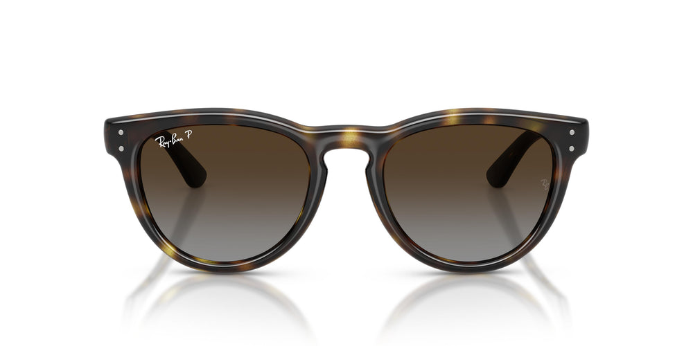 Ray-Ban RB2237 710/T5 51