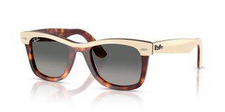 Ray-Ban RB2240 WAYFARER 144371 50