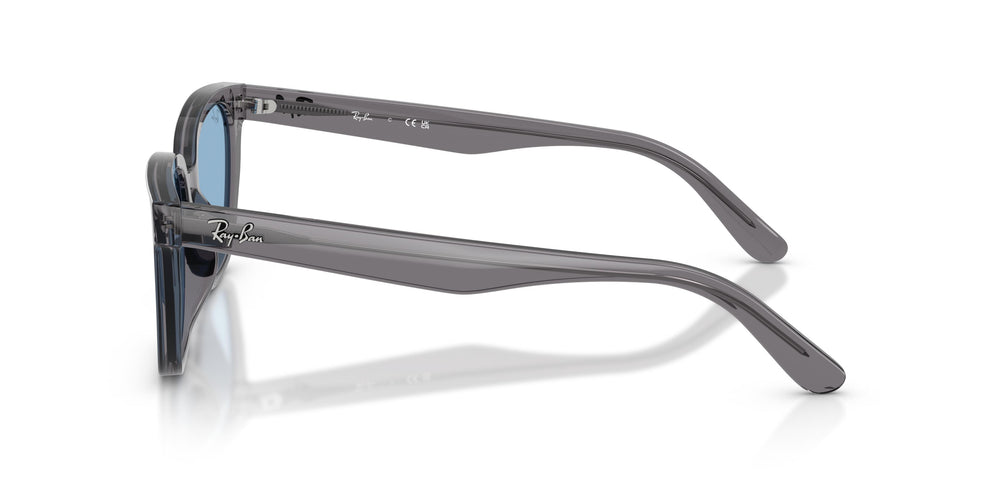Ray-Ban RB2243D 139972 55