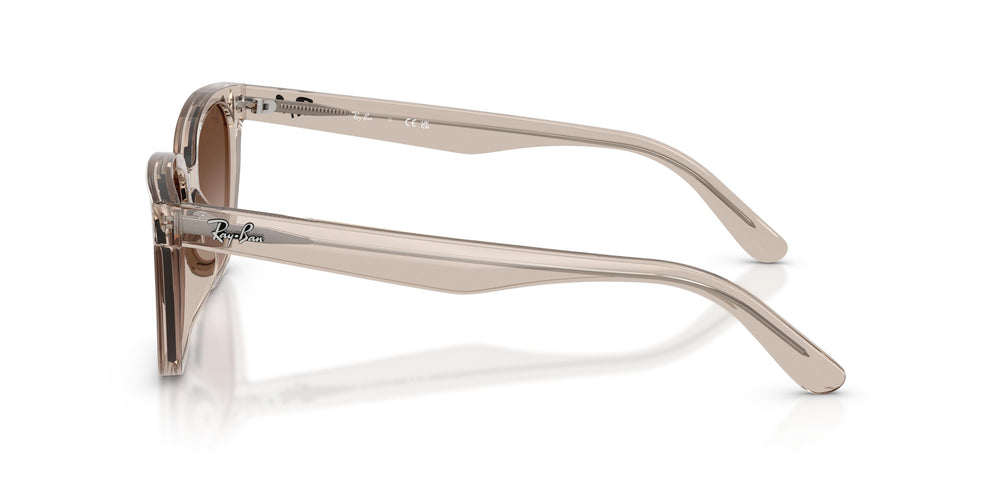 Ray-Ban RB2243D 682713 55