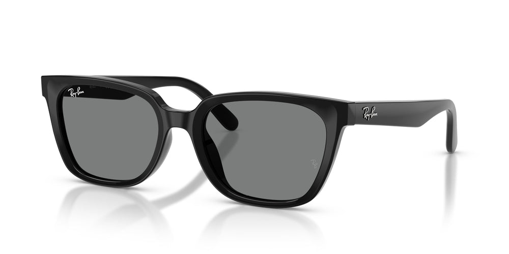 Ray-Ban RB2243D 901/87 55