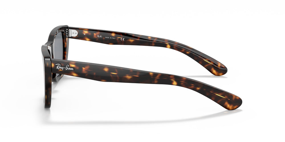 Ray-Ban RB2248 CARIBBEAN 902/R5 52