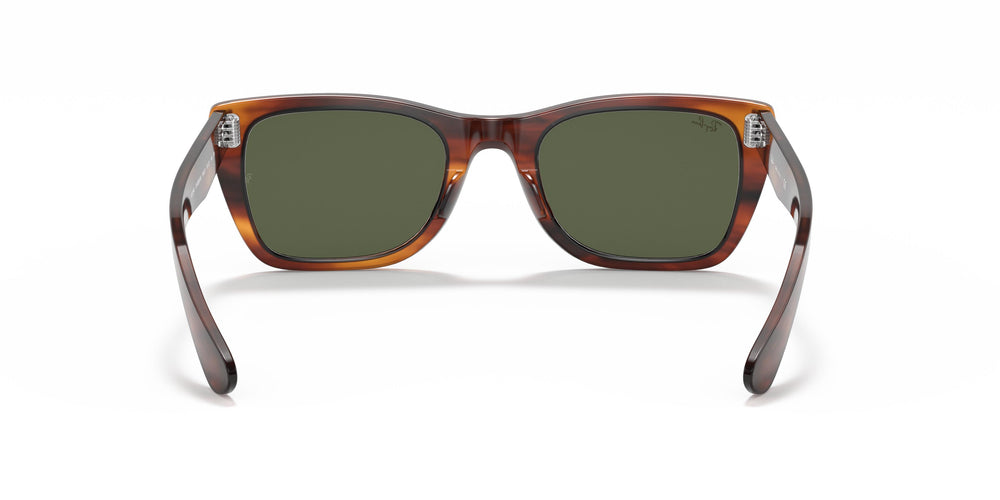 Ray-Ban RB2248 CARIBBEAN 954/31 52