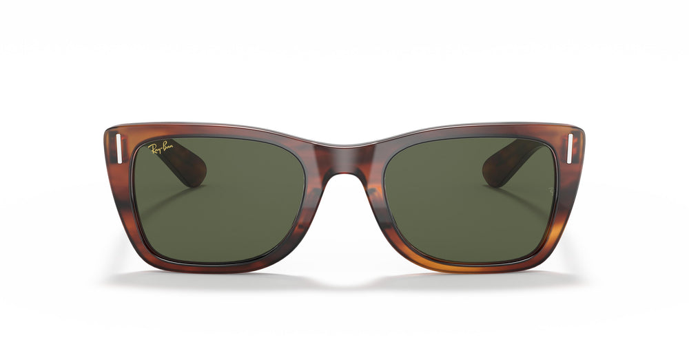 Ray-Ban RB2248 CARIBBEAN 954/31 52