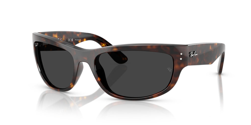 Ray-Ban RB2289 MEGA BALORAMA 902/48 63