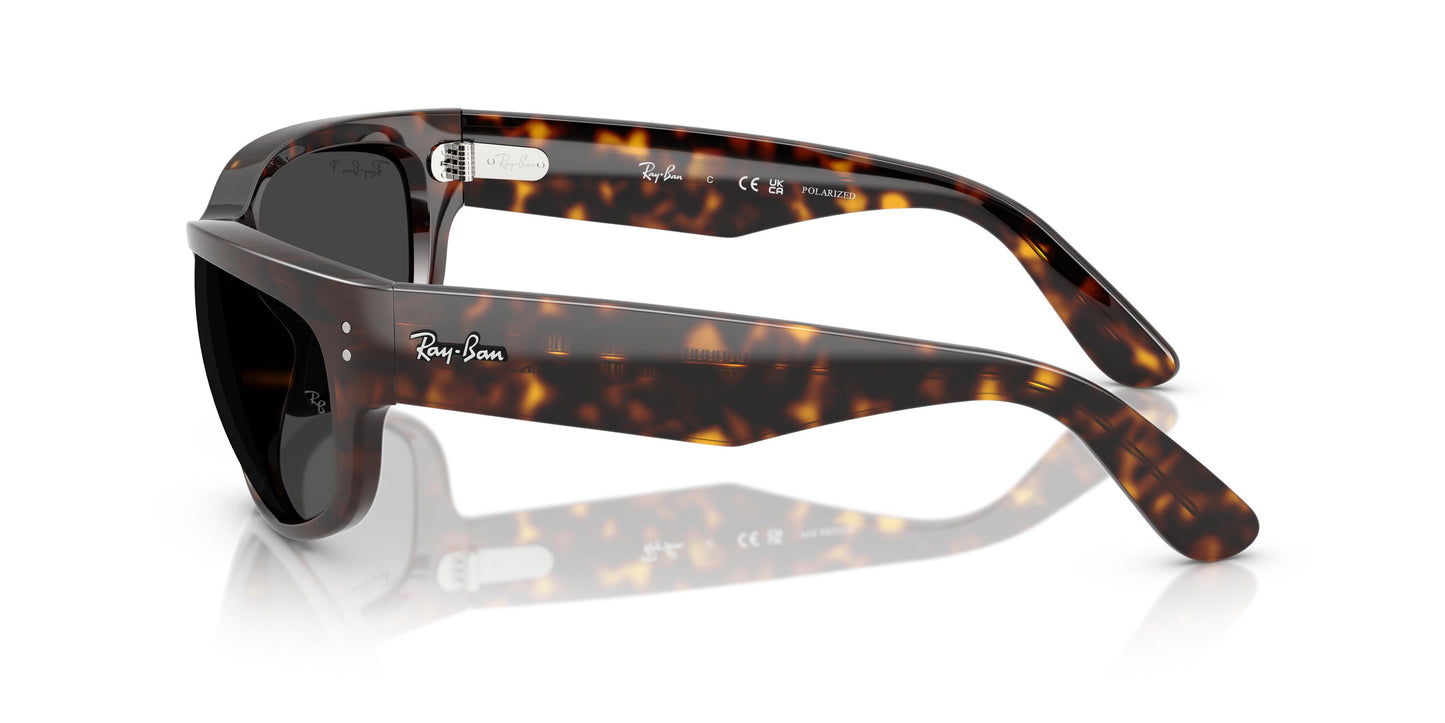 Ray-Ban RB2289 MEGA BALORAMA 902/48 60