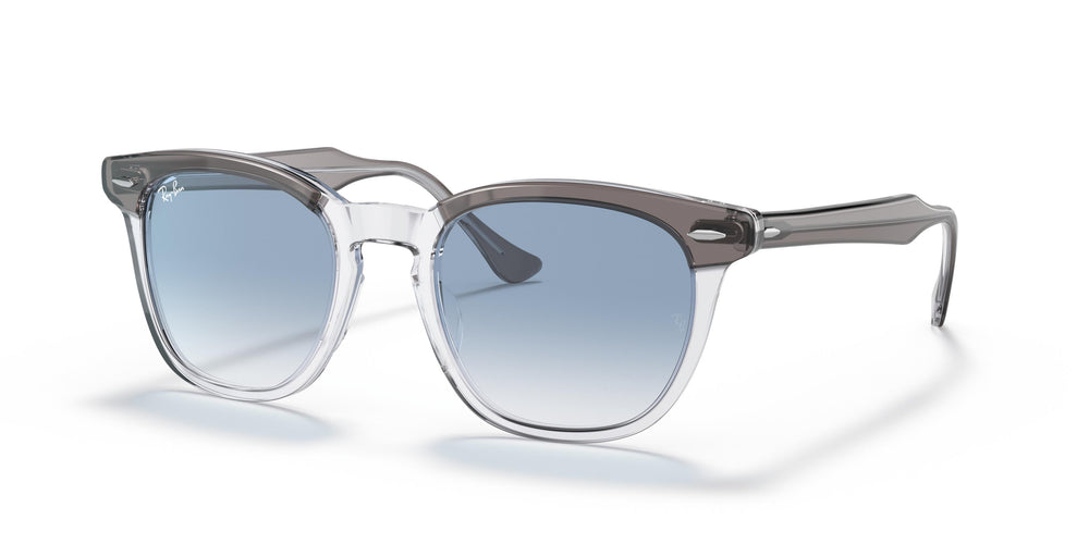 Ray-Ban RB2298 HAWKEYE 13553F 50