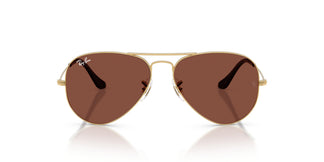 Ray-Ban RB3025 AVIATOR 001/C5 62