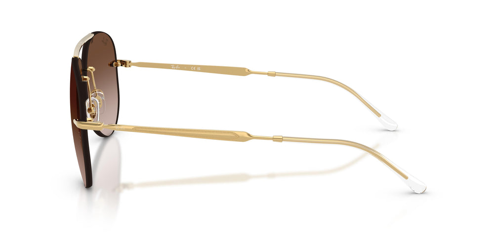 Ray-Ban RB3791 001/13 59