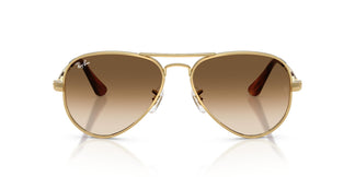 Ray-Ban RB3925 AVIATOR MAX 001/51 58