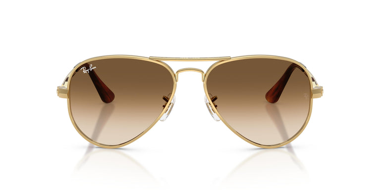 Ray-Ban RB3925 AVIATOR MAX 001/51 58