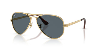 Ray-Ban RB3925 AVIATOR MAX 001/R5 62
