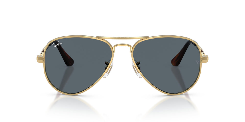 Ray-Ban RB3925 AVIATOR MAX 001/R5 58